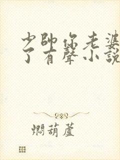 少帅你老婆又跑了有声小说版封面