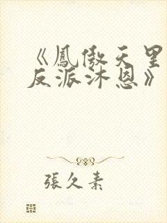 《凤傲天里黄毛反派沐恩》小说