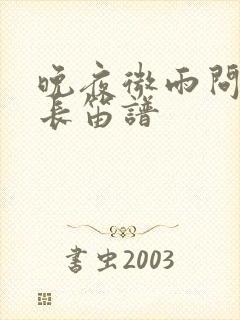 晚夜微雨问海棠长笛谱