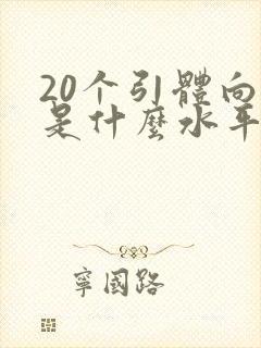 20个引体向上是什么水平