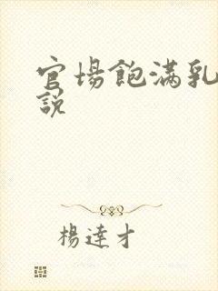 官场饱满乳房小说封面