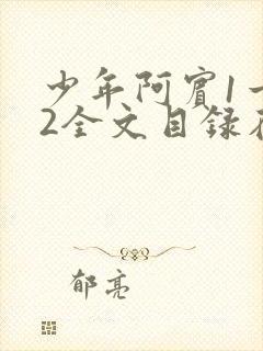 少年阿宾1一72全文目录在线封面