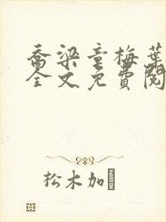 乔梁章梅叶心仪全文免费阅读最新封面