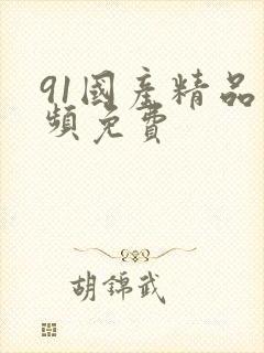 91国产精品视频免费