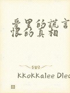 爱里的谎言,仇恨的真相封面