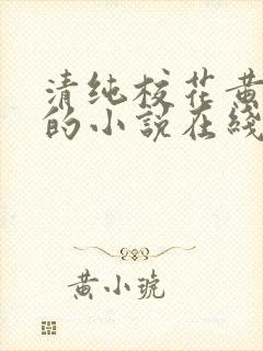 清纯校花黄小婷的小说在线阅读封面