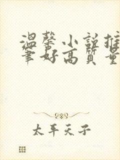 温馨小说推荐文笔好高质量完结