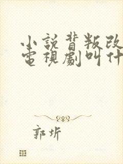 小说背叛改编的电视剧叫什么