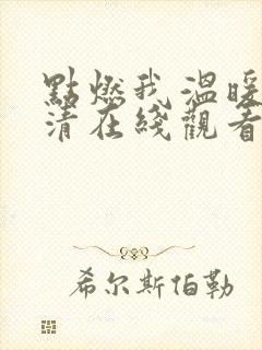 点燃我温暖你高清在线观看电视剧