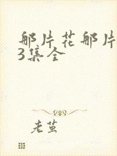 那片花那片海33集全封面