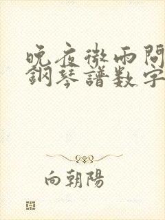 晚夜微雨问海棠钢琴谱数字