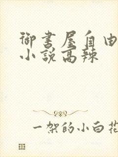 御书屋自由阅读小说高辣