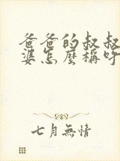 爸爸的叔叔的老婆怎么称呼