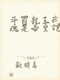 斗罗龙王我的武魂是帝皇铠甲免费阅读封面