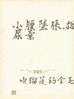 小腹坠胀,总有尿意