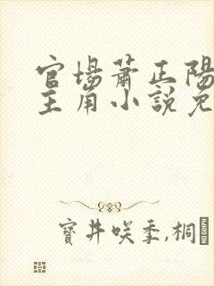 官场萧正阳李冰主角小说免费阅读