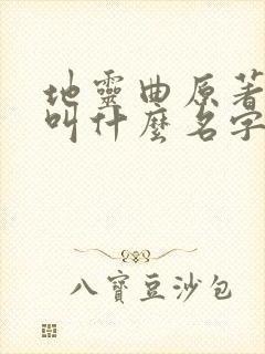 地灵曲原著小说叫什么名字