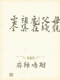 电视剧父母爱情全集在线观看免费封面