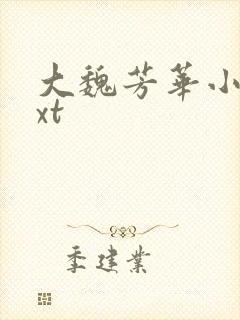 大魏芳华小说txt