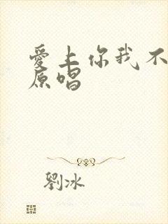 爱上你我不后悔原唱