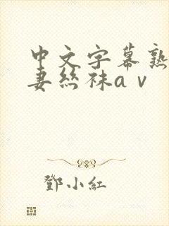 中文字幕熟女人妻丝袜aⅴ