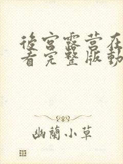 后宫露营在线看看完整版动漫普通话谍战迷