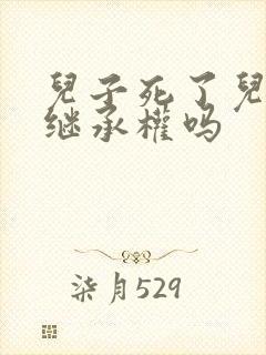 儿子死了儿媳有继承权吗封面