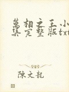 万相之王小说全集完整版txt