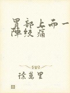 胃部上面一阵一阵绞痛封面