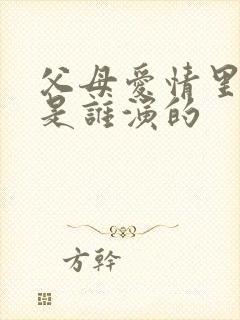 父母爱情里安欣是谁演的