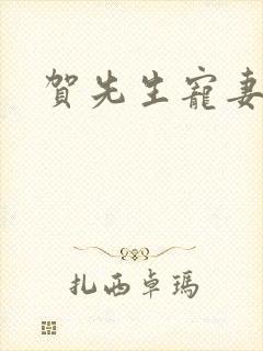 贺先生宠妻无度