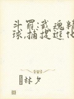 斗罗:武魂精灵球,捕捉进化封面