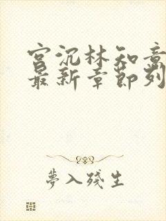 宫沉林知意小说最新章节列表