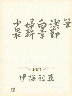 少妇白洁笔趣阁最新章节封面