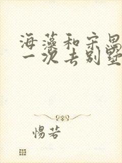 海藻和宋思明第一次去别墅是哪一集