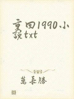 重回1990小说txt