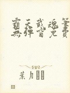 霸天武魂笔趣阁无弹窗免费阅读