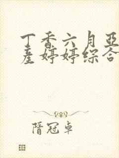 丁香六月亚洲国产婷婷综合网封面