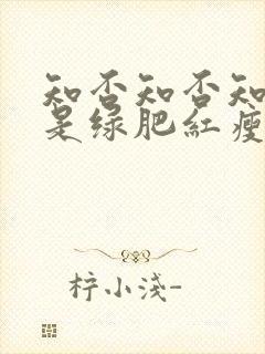 知否知否知否应是绿肥红瘦影评封面