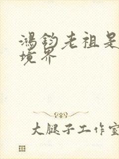 鸿钧老祖是什么境界