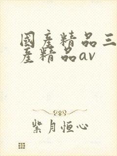 国产精品三级国产精品av封面