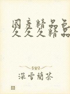 国产精品色婷婷久久久精品