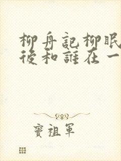 柳舟记柳眠棠最后和谁在一起