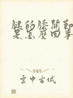 腿的膝关节疼痛是怎么回事