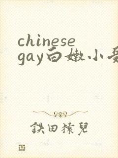 chinesegay白嫩小受封面