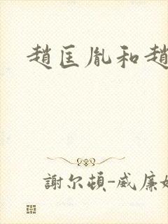 赵匡胤和赵匡义