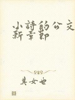 小诗的公交车最新章节