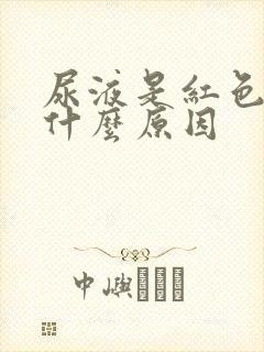 尿液是红色的是什么原因