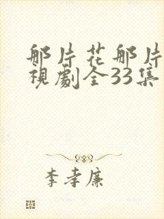 那片花那片海电视剧全33集封面