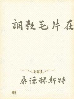 调教毛片在线